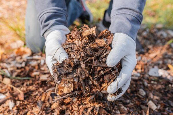 Established Garden Maintenance & Landscaping Business, Essex & Suffolk Established Garden Maintenance & Landscaping Business, Essex & Suffolk