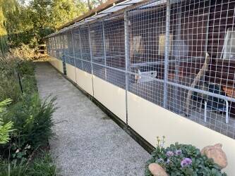 5 ⭐️ Kennels & Cattery set in 6 acres of countryside 5 ⭐️ Kennels & Cattery set in 6 acres of countryside