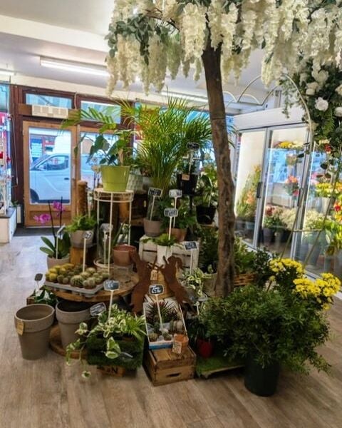 Florist for Sale Florist for Sale