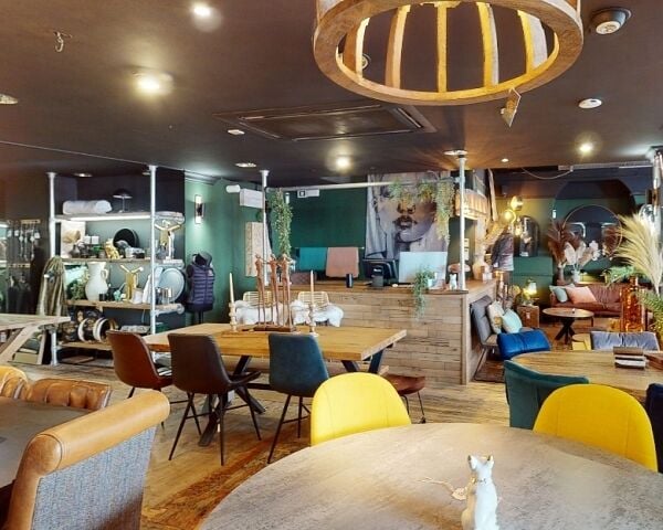Furniture Plus Home Accessories And Decorative Items for Sale