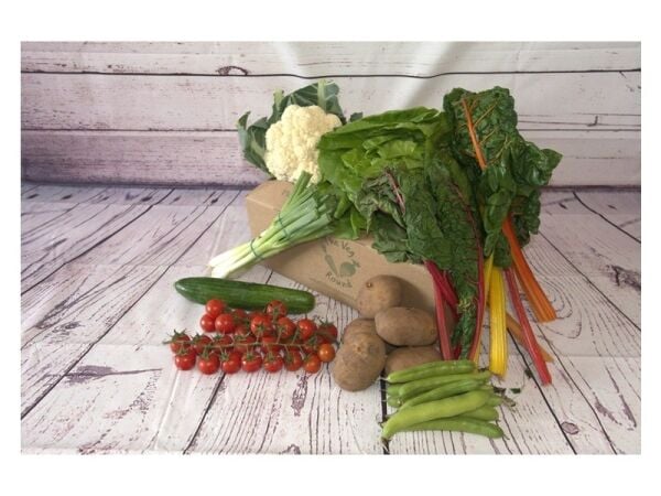 Turnkey Produce Delivery Business with Massive Growth Potential Turnkey Produce Delivery Business with Massive Growth Potential