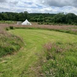 Natural meadow campsite Photo 3