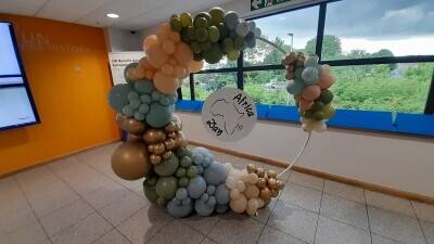 Relocatable Established Party Shop and Balloon Decor Business
