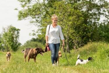 Scalable Dog Walking Business