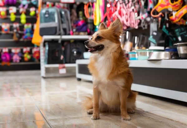 Profitable Independent Pet Retail Business, Hampshire Profitable Independent Pet Retail Business, Hampshire