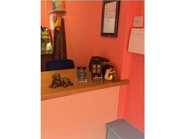 Pampered Pets Paradise – Thriving Dog Grooming Salon in Formby Pampered Pets Paradise – Thriving Dog Grooming Salon in Formby
