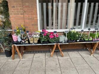 Established Florist Business for Sale – Park Farm, Allestree (Derby) 