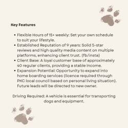 Dog walking business Perthshire
