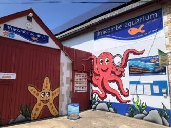 Award Winning & Unique Aquarium with Cafe & Gift Shop - North Devon Seaside Town