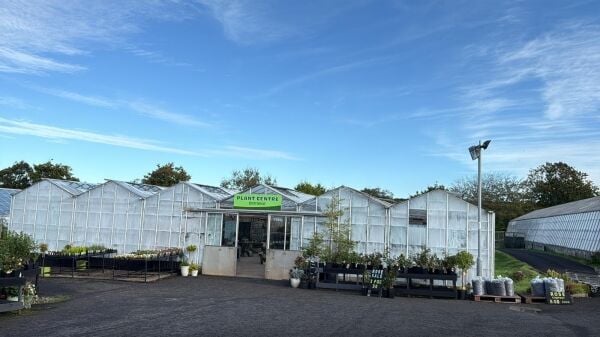 Family-run nursery and plant centre for sale in Mauchline East Ayrshire