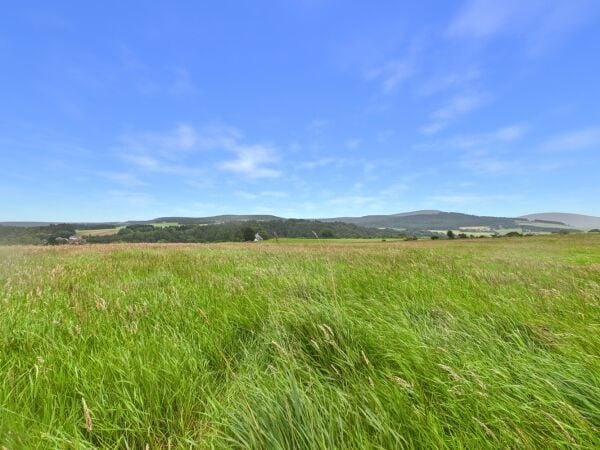 Business for Sale in Aberlour Moray Business for Sale in Aberlour Moray