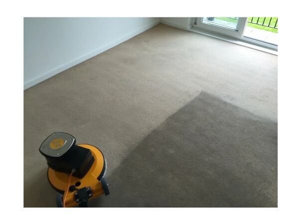 Bring Surfaces Back to Life – Thriving Carpet & Upholstery Cleaning Business Bring Surfaces Back to Life – Thriving Carpet & Upholstery Cleaning Business