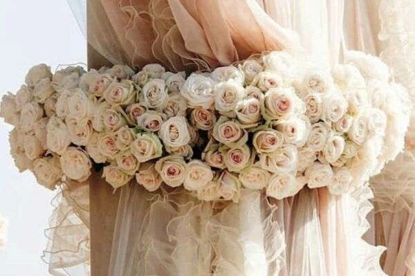 Established Destination Wedding Planners Established Destination Wedding Planners