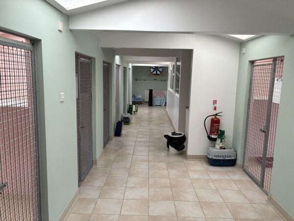Highly Rated Boarding Kennels and Cattery with detatched 5 Bedroom House