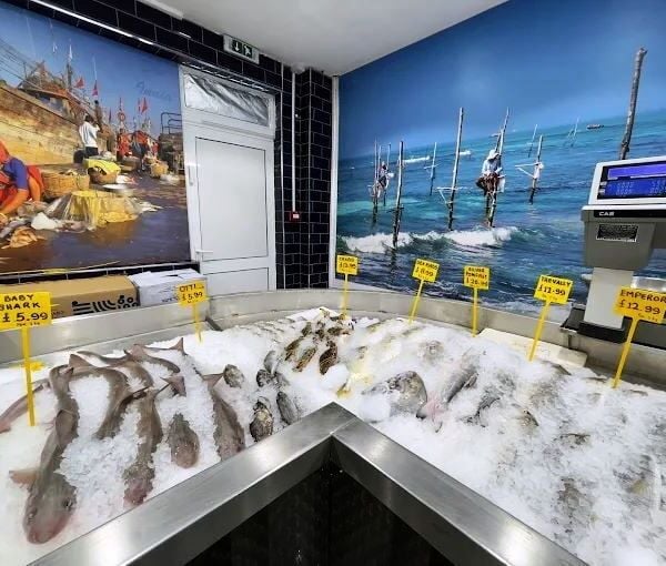 Seafood  /  Frozen Fish  /  Cold Unit With Retail Supermarket for Sale