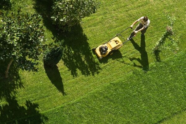 Established Relocatable Gardening Business Established Relocatable Gardening Business