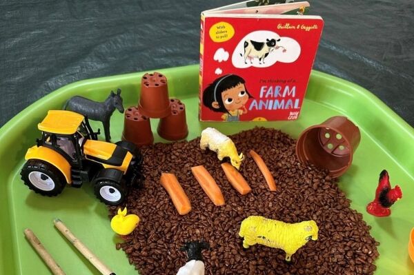 Relocatable Closed Children's Activity Business Relocatable Closed Children's Activity Business