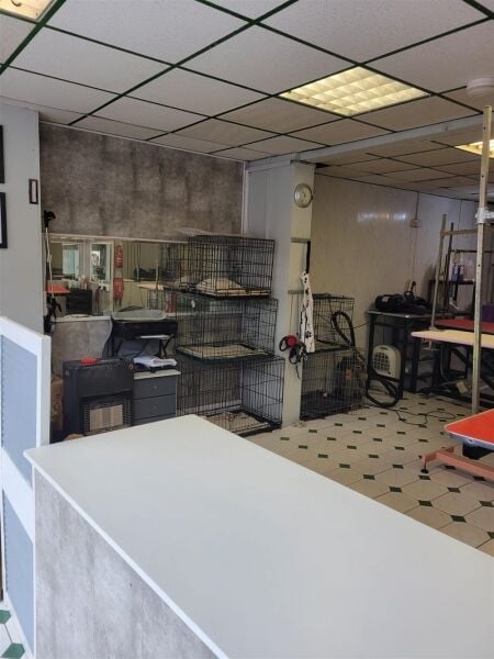 Established Dog Grooming Centre in Prime Staffordshire Location Established Dog Grooming Centre in Prime Staffordshire Location