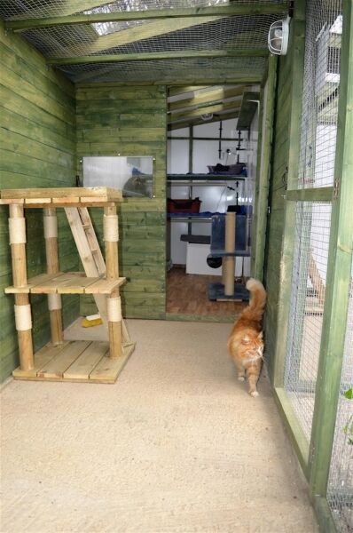 BOARDING CATTERY LICENSED FOR UP TO 81 CATS
