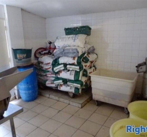 Fish & Chip Shop - Leicestershire Photo 4