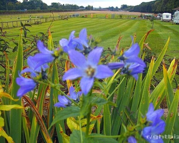 SUPERB FAMILY RUN CARAVAN AND CAMPING SITE & CAFE - HEREFORDSHIRE Photo 4