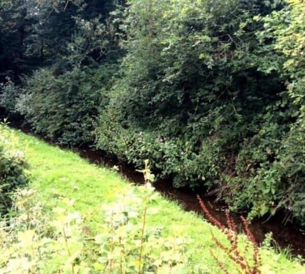 Character house with separate self-contained annex, private brook and large garden. Semi-rural Photo 4