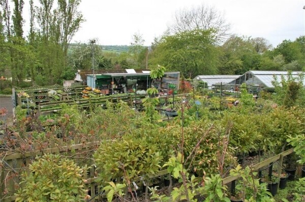 Garden Centre & Horticulture For Sale in Liversedge Photo 4