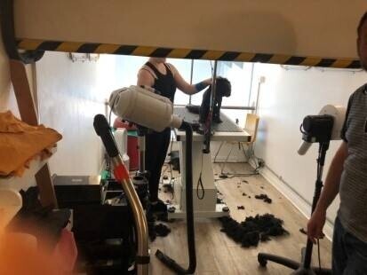 Reputable Dog Grooming, Food & Accessories Business in East Sussex Photo 4