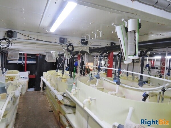 Brine Shrimp Production & Aquatic Live Food Wholesale Photo 4