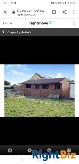 Cattery (Largest on Anglesey), stables, 4 Bed home, Static caravan and paddocks. Anglesey, N Wales. Photo 4