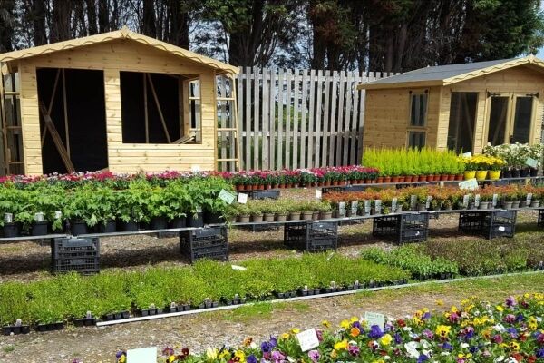 Florist & Garden Centre - Skelmersdale Photo 4