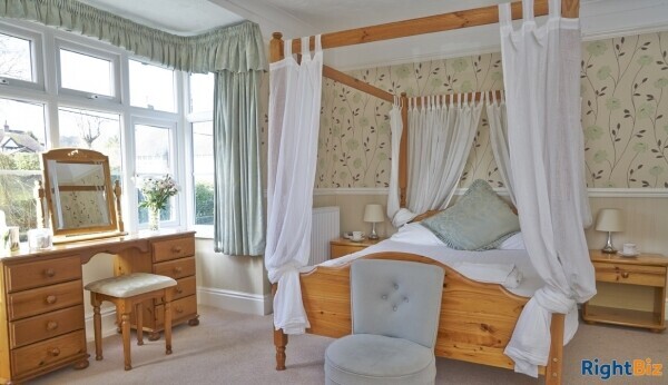 B&B in the Heart of New Forest Photo 4