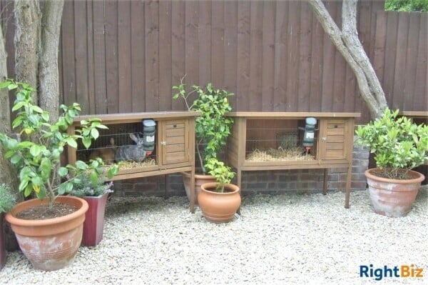 Kennels, Cattery & Equestrian businesses For Sale in Wantage Photo 4