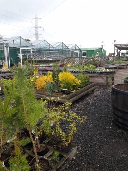 Garden Centre Business With Excellent Reputation Photo 4