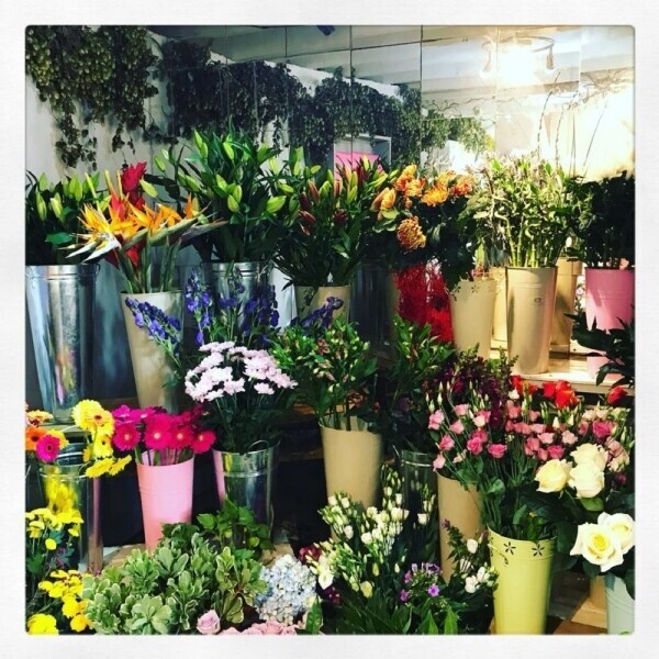 Established Local Florist Photo 4