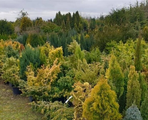 Garden Centre & Horticulture For Sale in Lincolnshire / Nottingham Border Photo 4