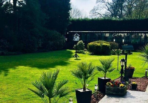 Cattery- East Yorkshire Photo 4