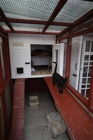 Former Cattery, 5 Bedroom House & Flat- Eastbourne Photo 4