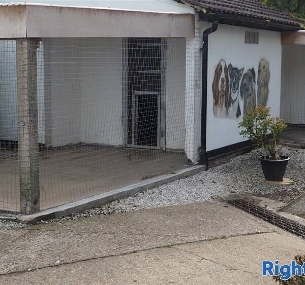 Kennels, Cattery & Equestrian businesses For Sale in Chesterfield Photo 4