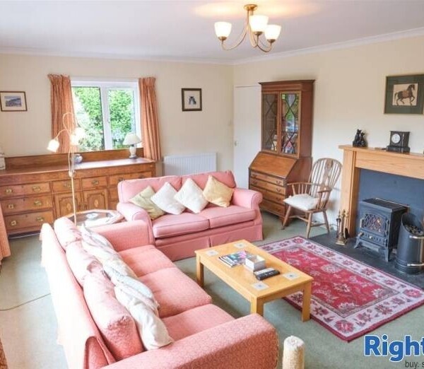Cattery - Scottish Borders Photo 4