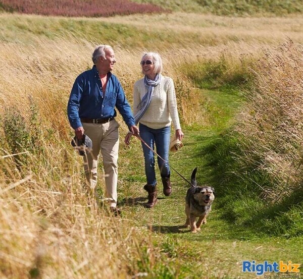 Exciting opportunity to buy an established pet care business in Cardiff Photo 4