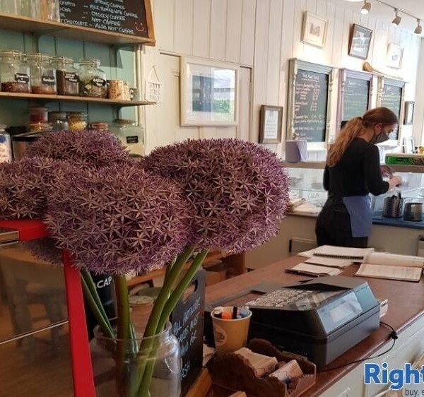 Well Established Cafe & Gallery For Sale Photo 4