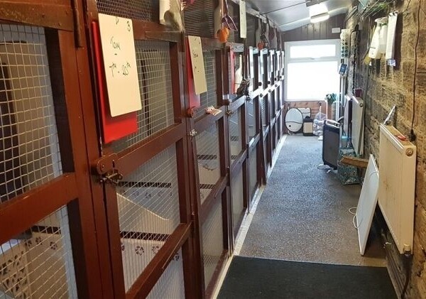 Kennels, Cattery & Equestrian businesses For Sale in Barnsley Photo 4