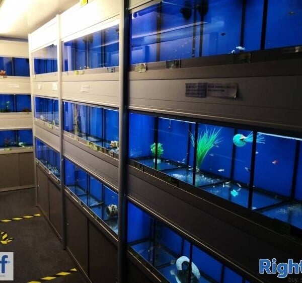 Freehold Aquatics Shop - Coalville, Leicestershire Photo 4