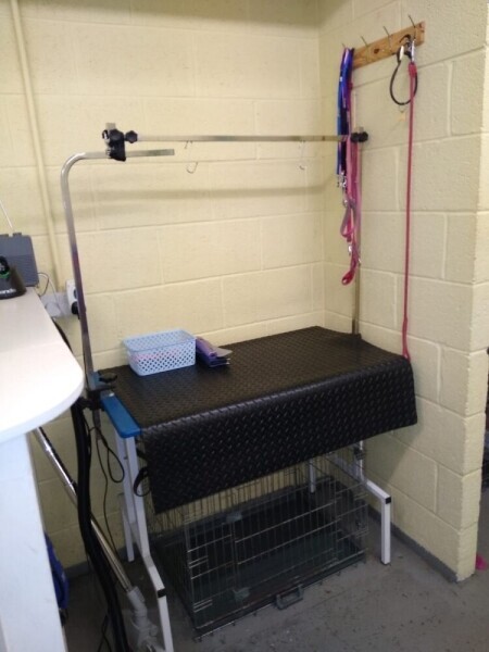 Caring & Reputable Dog Grooming Parlour in Shropshire Photo 4