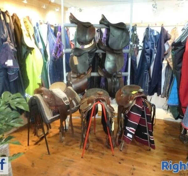 EQUESTRIAN SUPPLIES Photo 4