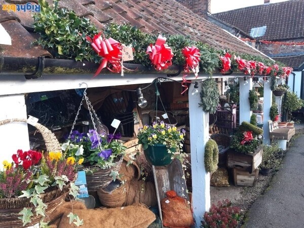 Unique High Street Garden Centre and Pet Supplies Photo 4