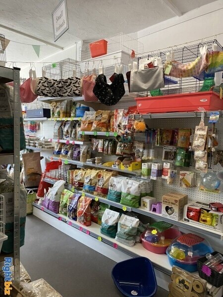 Highly successful Pet And Hardware shop Photo 4