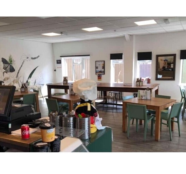Well established Childrens Play Centre and Cafe business for sale Photo 4