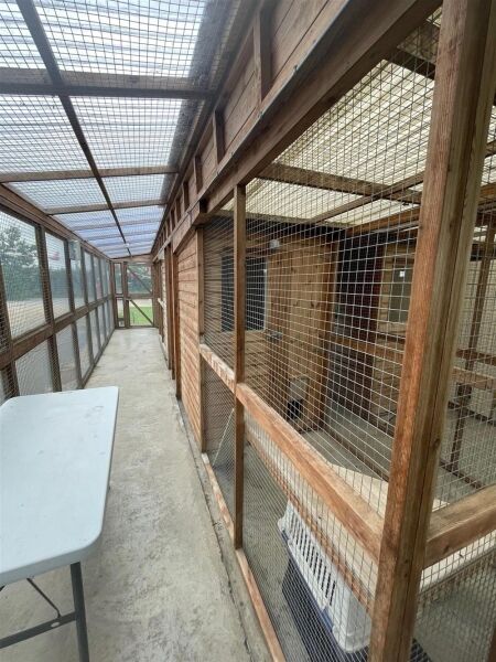 Cattery - Relocateable Equipment Photo 4